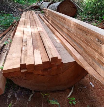 Iroko Wood