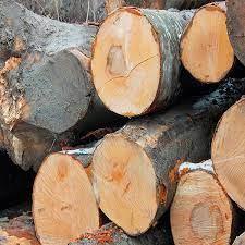 Iroko Wood